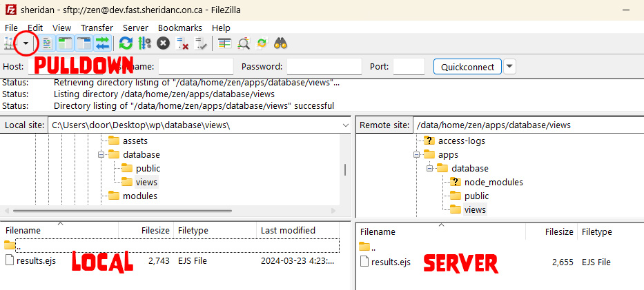 upload with FileZilla